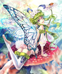 Rule 34 | 1girl, :d, antennae, ass, bare shoulders, barefoot, blurry, blush, bug, butterfly wings, depth of field, detached sleeves, double bun, dress, fairy, feet, flower, gloves, green hair, hair bun, hair ornament, head tilt, insect, insect wings, ladybug, long hair, looking at viewer, looking back, mushroom, open mouth, original, osamu (jagabata), pointy ears, purple eyes, shingoku no valhalla gate, sidelocks, smile, solo, thighhighs, toeless legwear, toes, white thighhighs, wings