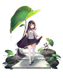 Rule 34 | 1girl, black hair, blunt bangs, breasts, clothes lift, full body, hair ornament, highres, leaf umbrella, lifted by self, long hair, low-tied long hair, mary janes, open mouth, panda, philomelalilium, shoes, simple background, skirt, skirt lift, small breasts, solo, standing, thighhighs, very long hair, white background, white thighhighs, yellow eyes