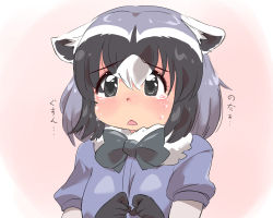 Rule 34 | 1girl, animal ears, black bow, black bowtie, black gloves, blue hair, blue sweater, blush, bow, bowtie, commentary request, common raccoon (kemono friends), ears down, elbow gloves, fur collar, gloves, grey eyes, grey hair, kemono friends, multicolored hair, puffy short sleeves, puffy sleeves, raccoon ears, raccoon girl, short hair, short sleeves, solo, sweater, tears, translation request, two-tone gloves, umikaze shuu, upper body, white fur, white gloves, white hair