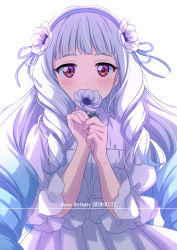 Rule 34 | 1girl, absurdres, aikatsu! (series), aikatsu stars!, blue hair, blue ribbon, blush, covered mouth, dated, dot nose, dress, drill hair, english text, flower, flower over mouth, gradient hair, hair flower, hair ornament, hair ribbon, happy birthday, highres, holding, holding flower, long hair, looking at viewer, multicolored hair, purple eyes, red eyes, ribbon, sekina, shirogane lily, simple background, solo, twin drills, upper body, very long hair, white background, white dress, white flower