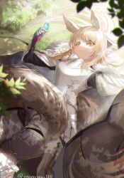 Rule 34 | 1girl, animal ear fluff, animal ears, arknights, armor, black gloves, blemishine (arknights), blonde hair, bug, butterfly, butterfly on hand, cape, closed mouth, commentary request, cowboy shot, extra ears, fur-trimmed cape, fur trim, gloves, highres, horse ears, horse girl, horse tail, insect, long hair, lying, on back, orange eyes, outdoors, plate armor, smile, solo, tail, twitter username, white armor, white cape, yo-ba yo