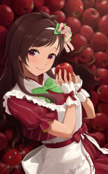 Rule 34 | 1girl, antenna hair, apple, apron, artist name, blush, bow, bowtie, breasts, brown hair, closed mouth, dress, dress bow, flower, food, frilled apron, frills, from side, fruit, green bow, green bowtie, green ribbon, hair flower, hair ornament, hair ribbon, hairband, hands up, highres, holding, holding food, holding fruit, idolmaster, idolmaster cinderella girls, idolmaster cinderella girls starlight stage, long hair, looking at viewer, medium breasts, mzmch, pink ribbon, red bow, red dress, red eyes, ribbon, ringorou (idolmaster), scrunchie, short sleeves, signature, smile, solo, striped bow, striped bowtie, striped clothes, tsujino akari, white apron, white hairband, white scrunchie, wrist scrunchie