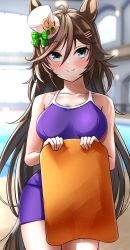 Rule 34 | 1girl, animal ears, backlighting, blue one-piece swimsuit, blurry, blurry background, blush, breasts, brown hair, closed mouth, collarbone, competition school swimsuit, cowboy shot, green eyes, hair between eyes, hair ornament, hairclip, hat, herohero (higashi no dou), highres, horse ears, horse girl, horse tail, indoors, kickboard, legs together, long hair, looking at viewer, medium breasts, messy hair, mini hat, mini top hat, mr. c.b. (umamusume), one-piece swimsuit, parted bangs, pool, school swimsuit, smile, solo, split mouth, swept bangs, swimsuit, tail, thighs, top hat, umamusume, white hat