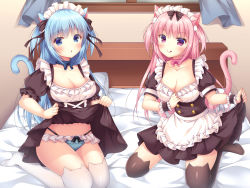Rule 34 | 2girls, :o, :q, animal ear fluff, animal ear legwear, animal ears, apron, bed, black dress, black legwear, blue eyes, blue hair, blue panties, blush, bow, bow panties, breasts, cat ear legwear, cat ears, cat girl, cat tail, cleavage, closed mouth, clothes lift, commentary request, curtains, dress, dress lift, frilled apron, frilled panties, frills, fujikura ryuune, groin, hair between eyes, highleg, indoors, lifting own clothes, long hair, maid, maid headdress, medium breasts, multiple girls, navel, no shoes, on bed, original, panties, parted lips, pink hair, pleated dress, puffy short sleeves, puffy sleeves, purple eyes, short sleeves, smile, tail, tail raised, tongue, tongue out, two side up, underwear, very long hair, white apron, white legwear, window, wrist cuffs