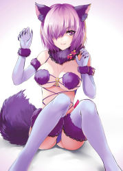 Rule 34 | 1girl, animal ears, breasts, claws, elbow gloves, fate/grand order, fate (series), fengya, fur-trimmed gloves, fur-trimmed legwear, fur collar, fur trim, gloves, hair over one eye, halloween costume, highres, large breasts, looking at viewer, mash kyrielight, mash kyrielight (dangerous beast), navel, official alternate costume, panties, purple eyes, purple gloves, purple hair, purple thighhighs, revealing clothes, short hair, sitting, solo, tail, thighhighs, underwear, wolf ears, wolf tail