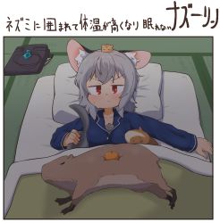 Rule 34 | 1girl, absurdres, alternate costume, animal, animal between breasts, animal ears, animal on head, bed, blue pajamas, blue shirt, blush, breasts, capybara, closed mouth, commentary request, cowboy shot, crystal, folded clothes, food, fruit, futon, greenpiecerice, grey hair, grey skirt, guinea pig, hamster, highres, jewelry, long sleeves, looking at viewer, mandarin orange, mouse (animal), mouse ears, mouse girl, nazrin, on head, pajamas, pendant, red eyes, shirt, short hair, skirt, sleeping, small breasts, squirrel, tatami, touhou, translation request, unworn skirt, v-shaped eyebrows