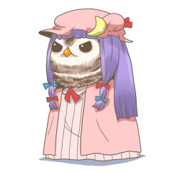 Rule 34 | 1girl, animal focus, animalization, bird, blue bow, blue ribbon, blunt bangs, bow, capelet, crescent, dress, hair ribbon, hat, hat ribbon, long hair, mob cap, no humans, onikobe rin, owl, patchouli knowledge, purple hair, red bow, red ribbon, ribbon, solo, striped clothes, striped dress, touhou