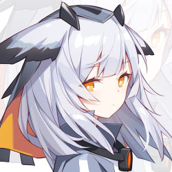 Rule 34 | 1girl, animal ears, arknights, expressionless, high collar, long hair, looking at viewer, looking to the side, orange eyes, portrait, ptilopsis (arknights), quan (kurisu tina), solo, veil, white hair, zoom layer