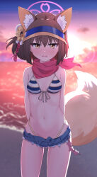 Rule 34 | 1girl, animal ear fluff, animal ears, arms behind back, beach, bikini, blue archive, blurry, blush, breasts, brown hair, cloud, commentary, denim, denim shorts, depth of field, embarrassed, facing viewer, fox ears, fox girl, fox tail, front-tie bikini top, front-tie top, halo, highleg, highleg bikini, highres, izuna (blue archive), izuna (swimsuit) (blue archive), karon (karon cha), looking ahead, micro shorts, ocean, official alternate costume, open mouth, outdoors, pink halo, red scarf, scarf, short hair, shorts, sky, small breasts, solo, straight-on, striped bikini, striped clothes, sun, sunset, swimsuit, tail, visor cap, yellow eyes