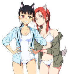 Rule 34 | 2girls, agahari, animal ears, bikini, black hair, blue jacket, breasts, closed mouth, commentary request, green jacket, hair between eyes, hands on own hips, heterochromia, highres, jacket, looking at viewer, medium breasts, medium hair, minna-dietlinde wilcke, multiple girls, one-piece swimsuit, open clothes, open jacket, red eyes, red hair, sakamoto mio, short hair, side-tie bikini bottom, simple background, smile, standing, strike witches, swimsuit, tail, thighs, white background, white bikini, white one-piece swimsuit, world witches series, yellow eyes