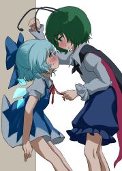 Rule 34 | 2girls, against wall, antennae, black cape, blue bow, blue dress, blue eyes, blue hair, blue shorts, blush, bow, cape, cirno, collared shirt, commentary request, dress, eye contact, feet out of frame, frilled shorts, frills, green eyes, green hair, hair bow, highres, imminent kiss, juliet sleeves, kabedon, leaning, long sleeves, looking at another, mikan (manmarumikan), multiple girls, neck ribbon, puffy sleeves, red ribbon, ribbon, shirt, short dress, short hair, short sleeves, shorts, standing, sweat, touhou, white background, white shirt, wings, wriggle nightbug, yuri