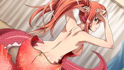 Rule 34 | 10s, 1girl, ass, back, blush, bra, breasts, butt crack, highres, lamia, large breasts, long hair, miia (monster musume), monster girl, monster musume no iru nichijou, red hair, solo, underwear, wallpaper, yellow eyes