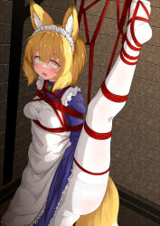 Rule 34 | 1girl, :d, absurdres, animal ears, apron, arms behind back, bdsm, blonde hair, bondage, borrowed character, bound, bow, bowtie, breasts, commission, fang, fox ears, fox girl, fox tail, frilled apron, frilled headwear, frills, gn nanon, gosu mei (sakifox), hair between eyes, highres, looking at viewer, maid, maid apron, maid headdress, medium breasts, medium hair, open mouth, original, pantyhose, red bow, red bowtie, restrained, shibari, shibari over clothes, skeb commission, smile, solo, split, standing, standing on one leg, standing split, tail, white apron, white pantyhose, yellow eyes
