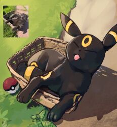 Rule 34 | basket, chufflepop, closed eyes, creatures (company), game freak, gen 2 pokemon, grass, highres, leaf, lying, nintendo, no humans, outdoors, photo inset, plant, poke ball, pokemon, pokemon (creature), reference inset, shadow, tongue, tongue out, umbreon