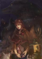 Rule 34 | 2girls, animal ears, brown hair, grey hair, highres, holo, lantern, lips, long hair, looking at viewer, multiple girls, myuri (spice and wolf), nttc6512, painterly, pouch, realistic, red eyes, shawl, shinsetsu spice and wolf, spice and wolf, tail, wheat, wolf, wolf ears, wolf tail, yellow eyes