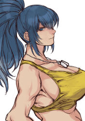 Rule 34 | bare shoulders, biceps, blue eyes, blue hair, breasts, crop top, dog tags, large breasts, leona heidern, midriff, muscular, muscular female, ponytail, simple background, solo, tank top, the king of fighters, yasunososaku, yellow tank top