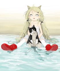 Rule 34 | 1girl, absurdres, animal, animal ears, beach, blonde hair, blue eyes, boots, bow, cat, cat ears, child, collarbone, dress, fang, female focus, hair bow, hair ornament, hairclip, highres, holding, holding animal, holding cat, looking at viewer, low twintails, messy hair, ohgnokuni, open mouth, original, outdoors, partially submerged, red footwear, sidelocks, sitting, solo, strap slip, tareme, thighhighs, twintails, water, white bow, white dress, white thighhighs