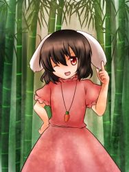 Rule 34 | 1girl, animal ears, bad id, bad pixiv id, bamboo, bamboo forest, black hair, carrot necklace, cowboy shot, dress, forest, hand on own hip, hand up, head tilt, inaba tewi, index finger raised, jewelry, koto (shiberia39), looking at viewer, nature, necklace, one eye closed, open mouth, pendant, pink dress, rabbit ears, red eyes, short hair, solo, touhou