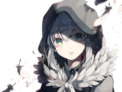 Rule 34 | 1girl, blush, cloak, commentary request, fate/grand order, fate (series), feather trim, feathers, gray (fate), green eyes, hair between eyes, hiyunagi, hood, hooded cloak, looking at viewer, open mouth, shaded face, short hair, silver hair, solo, tareme, white background