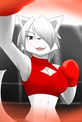 Rule 34 | 1girl, artist request, blue eyes, boxing, boxing gloves, breasts, dog, female focus, furry, furry female, open mouth, short hair, solo, upper body, white hair