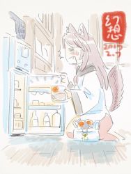 Rule 34 | 1girl, animal ears, bad id, bad twitter id, bag, brooch, brown hair, dress, gensoukoumuten, highres, imaizumi kagerou, jewelry, long sleeves, refrigerator, shopping bag, tail, touhou, wide sleeves, wolf ears, wolf tail