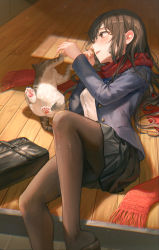 Rule 34 | 1girl, animal, ass, bad id, bad pixiv id, blue jacket, breasts, brown bag, brown eyes, brown pantyhose, cat, feet out of frame, highres, jacket, legs, long hair, long sleeves, looking at another, medium breasts, miniskirt, on floor, open clothes, open jacket, open mouth, original, pantyhose, red scarf, scarf, school uniform, shirt, skirt, solo, teeth, tokkyu, uniform, upper teeth only, white shirt, wooden floor
