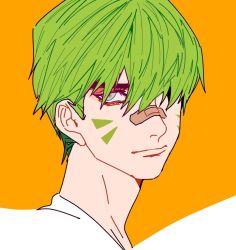 Rule 34 | 1boy, bandaid, bandaid on face, bandaid on nose, closed mouth, facepaint, facial mark, flat color, genji (overwatch), green hair, hair over one eye, hu (saimens), looking at viewer, male focus, overwatch, overwatch 1, portrait, short hair, simple background, solo, upper body, whisker markings