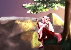 Rule 34 | 1girl, animal ears, blush, bridal gauntlets, clses, detached sleeves, hat, inubashiri momiji, looking at viewer, mountain, nature, pom pom (clothes), red eyes, ribbon-trimmed sleeves, ribbon trim, sandals, sarashi, short hair, silver hair, sitting, solo, sword, tail, tokin hat, touhou, tree, weapon, wolf ears, wolf tail