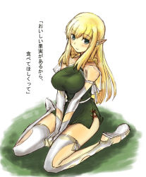 Rule 34 | 00s, 1girl, breasts squeezed together, breasts, elf, halterneck, huge breasts, pointy ears, solo, tetsu (kimuchi), thighhighs, tiffania westwood, translation request, zero no tsukaima