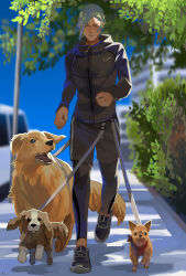 Rule 34 | 1boy, alternate costume, black footwear, black jacket, black pants, black shorts, blue sky, building, bush, car, chihuahua, chinese commentary, closed mouth, commentary request, dated commentary, day, dog, pet walking, eyes visible through hair, full body, golden retriever, green hair, hair between eyes, hair over one eye, hizamaru (touken ranbu), jacket, jogging, leash, looking to the side, male focus, motor vehicle, outdoors, pants, pants under shorts, shoes, short hair, shorts, sky, smile, sneakers, solo, touken ranbu, tree, yellow eyes, zi tsas, zipper