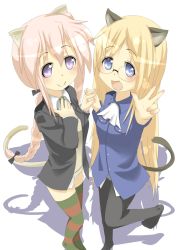 Rule 34 | 2girls, alternate hair color, animal ears, b-man, blonde hair, cat ears, cat tail, cosplay, lucky star, lynette bishop (cosplay), military, military uniform, minegishi ayano, multiple girls, no pants, perrine h clostermann (cosplay), pink hair, strike witches, tail, takara miyuki, thighhighs, uniform, v, world witches series