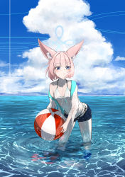 Rule 34 | 1girl, absurdres, alternate costume, animal ears, ball, beachball, bent over, bikini, bikini top only, blue archive, blue eyes, blue sky, blunt bangs, breasts, cleavage, cloud, cloudy sky, commentary request, fox ears, fox girl, halo, highres, holding, holding ball, horizon, long sleeves, looking at viewer, midriff, niko (blue archive), ocean, pink hair, short hair, short shorts, shorts, sidelocks, sky, small breasts, solo, sueoki makura, swimsuit, wet, wet clothes