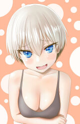 Rule 34 | 1girl, :d, arms under breasts, bare shoulders, black tank top, blue eyes, blush, breasts, cleavage, collarbone, commentary, crossed arms, eyelashes, fang, grey hair, hair between eyes, head tilt, large breasts, looking at viewer, naughty face, oira666666, open mouth, orange background, polka dot, polka dot background, raised eyebrows, short hair, skin fang, sleeveless, smile, smug, solo, sparkling eyes, tank top, upper body, uzaki-chan wa asobitai!, uzaki hana, very short hair, white background