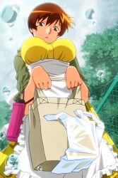 Rule 34 | 1girl, apron, bag, breasts, brown eyes, brown hair, cloud, cloudy sky, day, holding, holding bag, large breasts, non-web source, official art, open mouth, outdoors, photoshop (medium), short hair, sky, solo, standing, super real mahjong, tanaka ryou, toyohara etsuko, waist apron