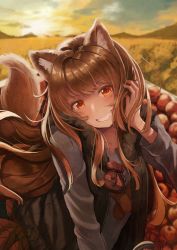 Rule 34 | 159cm, 1girl, animal ear fluff, animal ears, apple, black vest, blurry, blurry background, brown hair, collarbone, day, floating hair, food, fruit, fur-trimmed vest, fur trim, grey shirt, grin, hand in own hair, head tilt, highres, holo, long hair, long sleeves, looking at viewer, open clothes, open vest, orange eyes, outdoors, pouch, red apple, shirt, smile, solo, spice and wolf, tail, vest, wheat field, wolf ears, wolf tail