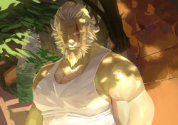 Rule 34 | 1boy, bara, beard, facial hair, full beard, large pectorals, male focus, mature male, muscular, muscular male, nesskain, old, old man, overwatch, partially blind, pectoral cleavage, pectorals, reinhardt (overwatch), scar, scar across eye, short hair, sunlight, tank top, thick beard, thick chest hair, tree shade, upper body, white hair, white tank top