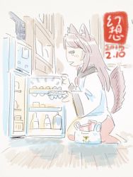 Rule 34 | 1girl, animal ears, bad id, bad twitter id, bag, brooch, brown hair, dress, egg, gensoukoumuten, highres, imaizumi kagerou, jewelry, long sleeves, refrigerator, shopping bag, tail, touhou, wide sleeves, wolf ears, wolf tail