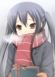 Rule 34 | 1girl, black hair, blush, breath, brown eyes, coat, covering face, covering own mouth, covering privates, gift, gloves, holding, holding gift, k-on!, long hair, mittens, nakano azusa, scarf, scarf over mouth, solo, striped clothes, striped scarf, twintails, winter clothes, winter coat, yukizuki chikuba