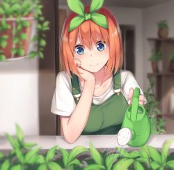 Rule 34 | 1girl, absurdres, blue eyes, blurry, blurry background, blurry foreground, blush, breasts, closed mouth, collarbone, commentary request, depth of field, dress, go-toubun no hanayome, green dress, green ribbon, hair between eyes, hair ribbon, hand on own cheek, hand on own face, head rest, highres, indoors, jii tomo, leaf, looking at viewer, medium breasts, nakano yotsuba, orange hair, outdoors, plant, potted plant, ribbon, shirt, short hair, smile, solo, upper body, watering, watering can, white shirt