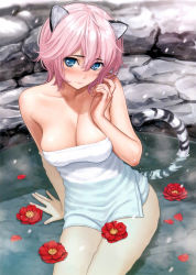 Rule 34 | 1girl, 3:, absurdres, animal ears, arm support, bare shoulders, blue eyes, blush, breasts, camellia, cleavage, collarbone, flower, hair between eyes, highres, homunculus (alchemynote), lips, looking at viewer, medium breasts, naked towel, navel, partially submerged, petals, pink hair, scan, short hair, sitting, solo, tail, tiger ears, tiger tail, toranoana, towel, water, wet