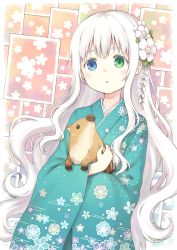 Rule 34 | 104, 1girl, :o, absurdres, animal, aqua kimono, blue eyes, blush, boar, carrying, chinese zodiac, collage background, commentary request, dutch angle, floral background, floral print, flower, furisode, green eyes, hair flower, hair ornament, has bad revision, has downscaled revision, heterochromia, highres, japanese clothes, kanzashi, kimono, leaf, long hair, looking at viewer, md5 mismatch, original, parted lips, print kimono, resolution mismatch, sidelocks, solo, source smaller, upper body, very long hair, wavy hair, white flower, white hair, year of the pig