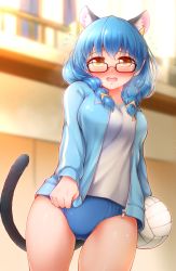 Rule 34 | 1girl, absurdres, animal ears, aqua hair, arakawa tarou, ball, black-framed eyewear, blue buruma, blue hair, blue jacket, blurry, blurry background, blush, buruma, cat ears, cat tail, commentary request, cowboy shot, day, depth of field, flying sweatdrops, frown, glasses, gym, gym shirt, hair tie, highres, holding, holding ball, indoors, jacket, jacket tug, looking at viewer, medium hair, open clothes, open jacket, open mouth, precure, shirt, solo, standing, star twinkle precure, sunlight, sweatdrop, tail, track jacket, twintails, v-neck, volleyball, volleyball (object), white shirt, yellow eyes, yuni (precure)