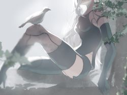 Rule 34 | 1girl, android, backlighting, bare shoulders, bird, bird on leg, black gloves, black shorts, black thighhighs, breasts, collarbone, commentary, concrete, dove, elbow gloves, gloves, head out of frame, high heels, highres, joints, kaino osushi85, leaf, long hair, medium breasts, micro shorts, nier (series), nier:automata, robot joints, shorts, single thighhigh, sitting, solo, tank top, thighhighs, thighs, white hair, a2 (nier:automata)