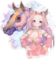 Rule 34 | 1girl, animal ears, blue eyes, breasts, bridle, brown hair, cleavage, commentary request, creature and personification, detached sleeves, dress, ear ornament, floral background, flower request, forehead, hair intakes, highres, hood, horse, horse ears, horse girl, kawakami princess (racehorse), kawakami princess (umamusume), large breasts, long hair, looking at viewer, medium breasts, pink armband, pink dress, real life, short eyebrows, sleeveless, sleeveless dress, translated, two-legged horse (kanji), umamusume, upper body, usapenpen2019, wide sleeves