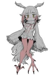 Rule 34 | 1girl, bird girl, bird legs, bird tail, bird wings, bow, bowtie, frilled sleeves, frills, full body, fur collar, head wings, highres, japanese crested ibis (kemono friends), kemono friends, llll nnmn, long sleeves, multicolored hair, pantyhose, pleated skirt, red bow, red bowtie, red hair, red pantyhose, shirt, short hair, sidelocks, skirt, solo, tail, talons, white fur, white hair, white shirt, white skirt, wings, yellow eyes