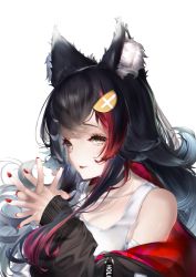Rule 34 | absurdres, animal ear fluff, animal ears, black choker, black hair, black jacket, choker, commentary request, hair ornament, hairclip, highres, hololive, jacket, looking at viewer, lumium, multicolored hair, nail polish, off shoulder, ookami mio, ookami mio (casual), open mouth, own hands clasped, own hands together, red hair, red nails, shirt, simple background, solo, two-tone hair, virtual youtuber, white background, white shirt, wolf ears, wolf girl, yellow eyes