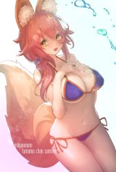 Rule 34 | 1girl, :d, animal ear fluff, animal ears, asarokuji, bad id, bad twitter id, bikini, blue bikini, breasts, character name, commentary request, dutch angle, fate/grand order, fate (series), fox ears, fox tail, hair tie, halterneck, hands on own chest, highres, large breasts, long hair, looking at viewer, navel, open mouth, pink hair, side-tie bikini bottom, smile, solo, standing, string bikini, swimsuit, tail, tamamo (fate), tamamo no mae (fate/extra), tamamo no mae (swimsuit lancer) (fate)