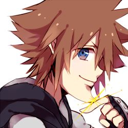Rule 34 | 1boy, black gloves, blue eyes, brown hair, finger to own chin, fingerless gloves, glint, gloves, inazume-panko, kingdom hearts, looking at viewer, lowres, male focus, pinko (inazume-panko), portrait, simple background, smile, solo, sora (kingdom hearts), sparkle, white background