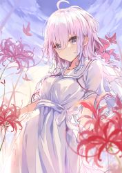 Rule 34 | 1girl, ahoge, blush, breasts, bug, butterfly, cloud, day, dress, eyes visible through hair, flower, hair ribbon, highres, holding, holding flower, insect, koomoi, light purple hair, long hair, looking at viewer, medium breasts, original, purple eyes, red butterfly, ribbon, sky, solo, spider lily, standing, white dress