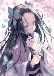 Rule 34 | 1girl, absurdres, belt, black hair, bug, butterfly, butterfly hair ornament, cherry blossoms, closed mouth, commentary request, forehead, hair ornament, haori, highres, hoshino koucha, insect, jacket, japanese clothes, kimetsu no yaiba, kochou kanae, long hair, long sleeves, parted bangs, purple eyes, purple hair, smile, uniform, white belt, wide sleeves